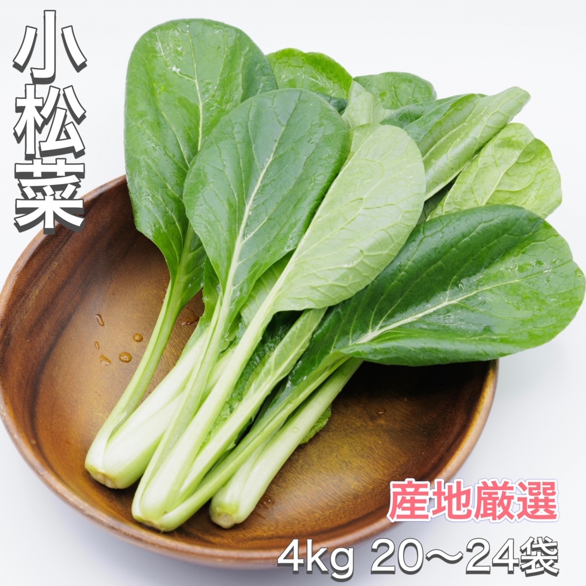 【楽天市場】【新商品】小松菜 産地厳選 1kg こまつな コマツナ 野菜