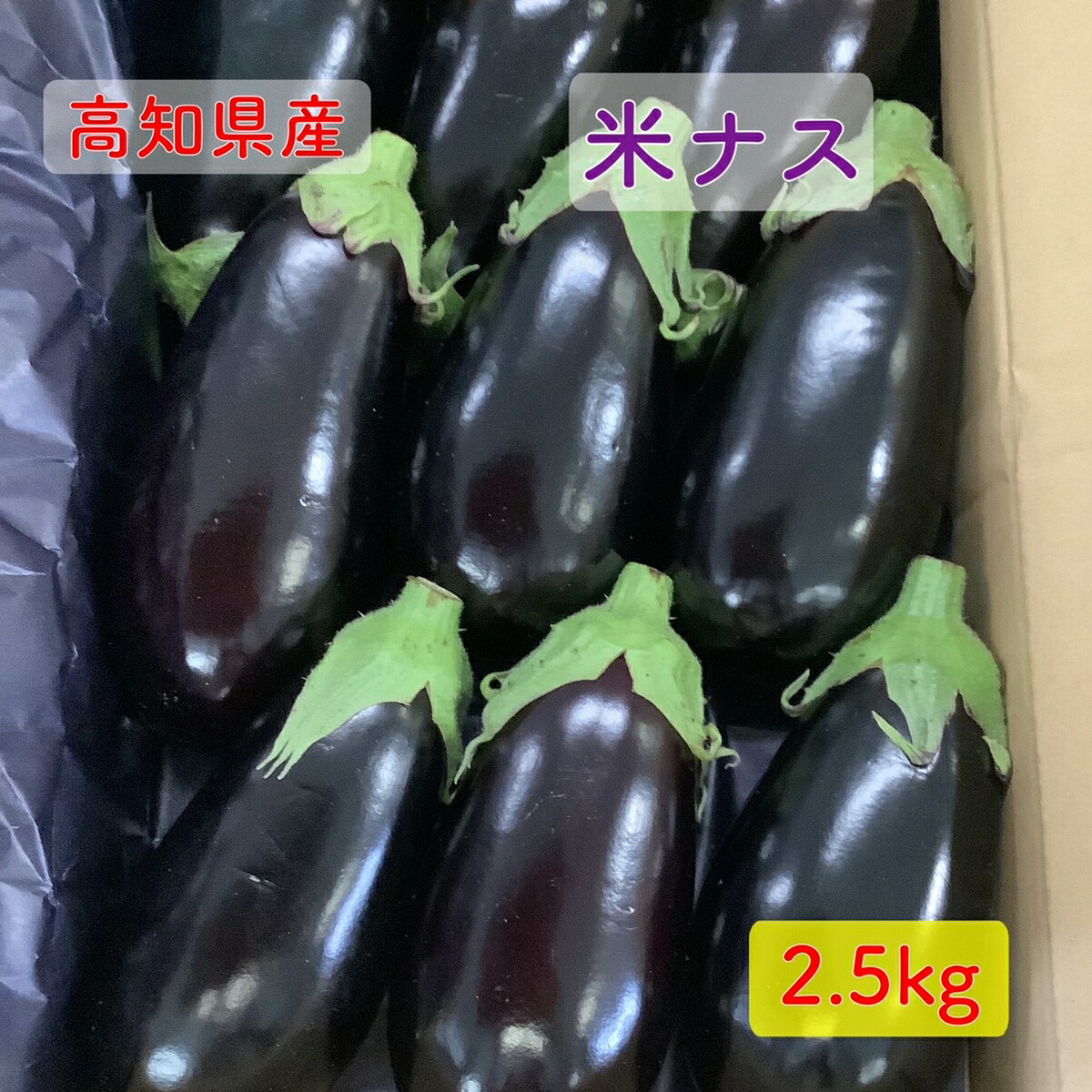 高知県産ナス　10㎏(Mサイズ約120本) 21710063---5.jpg