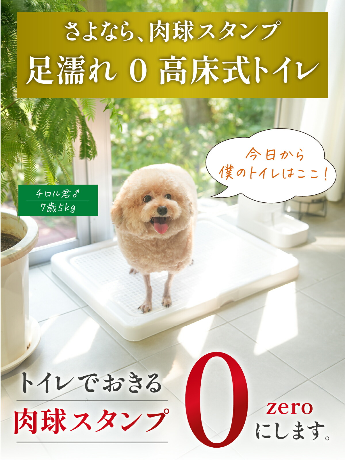 2個以上で5%OFF】【INULABO(イヌラボ)】 犬 用 トイレ トイレトレー