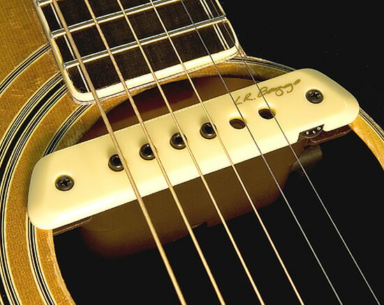 楽天市場】Fishman Rare Earth Blend Soundhole Pickup [PRO-REP