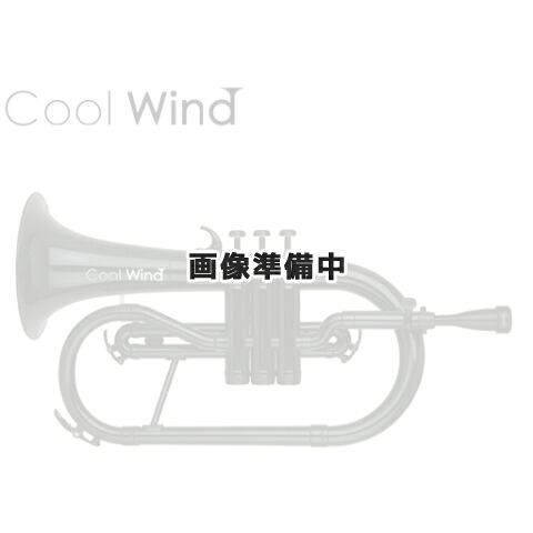 Cool Wind FH-200 SLV シルバー (プラスチック製フリューゲルホルン)(送料無料)(ご予約受付中)｜昭和32年創業の老舗　クロサワ楽器