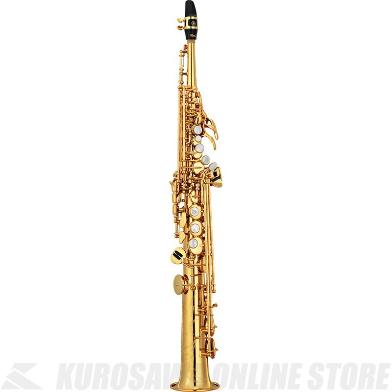 トレイオプティック検眼ミラー凝固 110 3 5v M ウェルチ アレン ジャパン 02 5660 01 02 5540 00 松吉診療インテグレイション便覧 ウェルチ アレン ジャパン