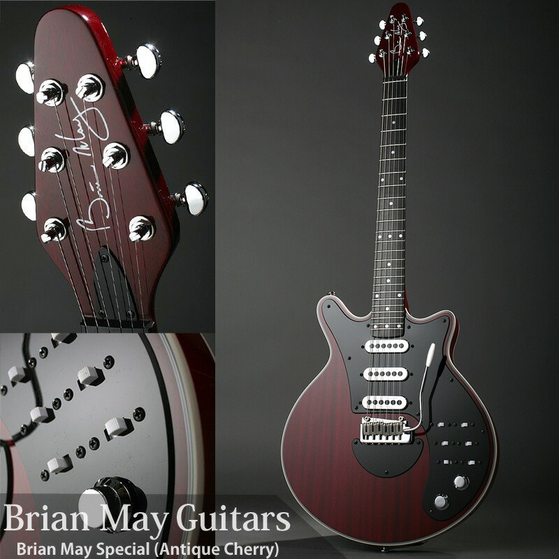 楽天市場】Brian May Guitars Brian May Special (Antique