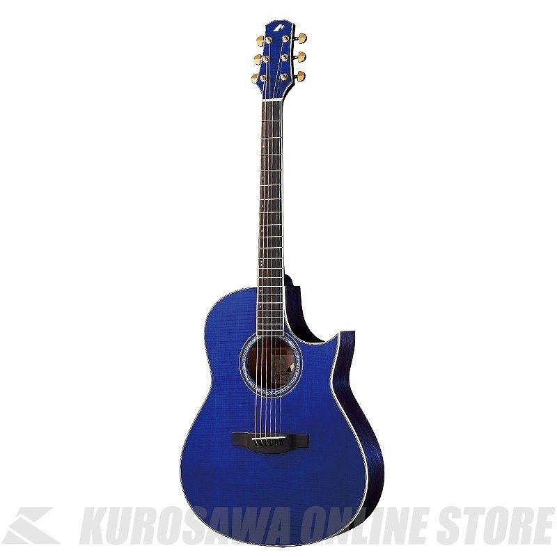 Morris TC-16 SBU HAND MADE PREMIUM (お取り寄せ)｜昭和32年創業の老舗　クロサワ楽器