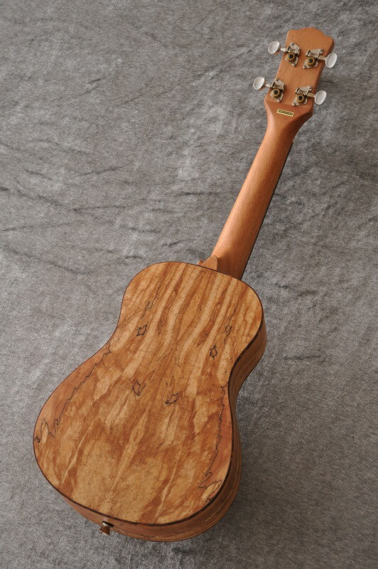 spalted maple