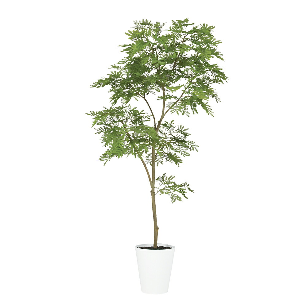 フェイクグリーン 観葉植物 フェイク 人工観葉植物 大型 光触媒 人工エバーフレッシュ FST 高さ約180cm 造花 リアル 鉢植 光触媒 CT触媒 インテリア ディスプレイ 52,140円