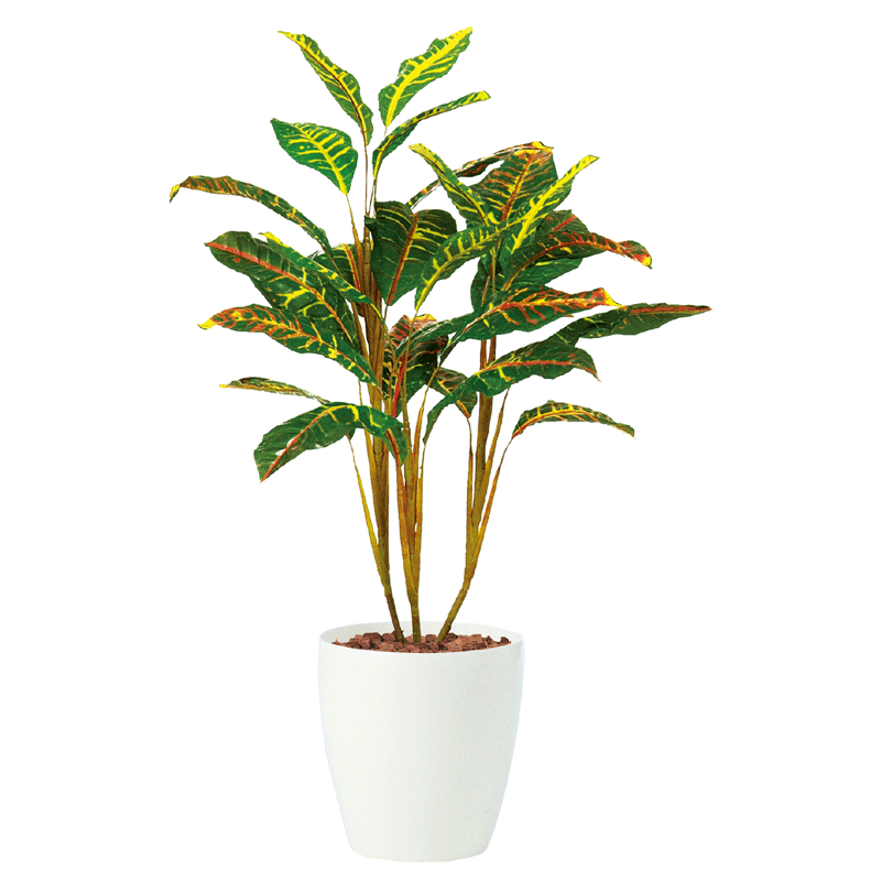 楽天市場】人工観葉植物 リアル フェイクグリーン 人工観葉植物 造花