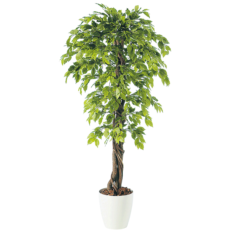 フェイクグリーン 観葉植物 フェイク 人工観葉植物 大型 光触媒 造花 大型 ベンジャミナスプラッシュリアナ 180cm 鉢植 樹木 SC/CT触媒 光触媒 インテリア お祝い