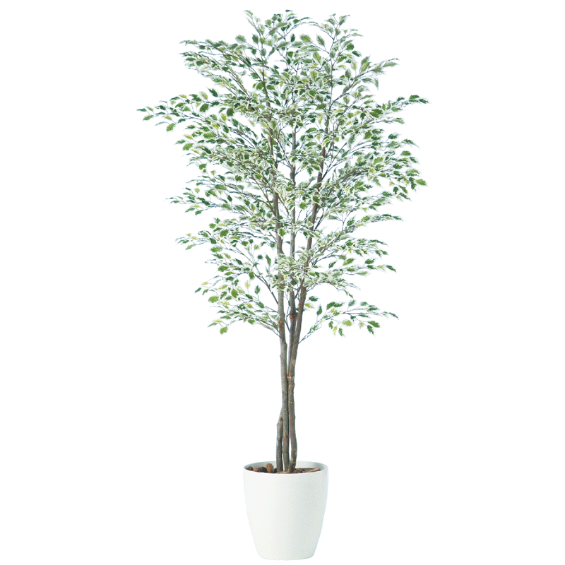 フェイクグリーン 観葉植物 フェイク 人工観葉植物 大型 光触媒 造花 大型 ベンジャミナスターライトトリプル 180cm 鉢植 樹木 SC/CT触媒 光触媒 インテリア お祝い|フェイクグリーンの神戸花物語