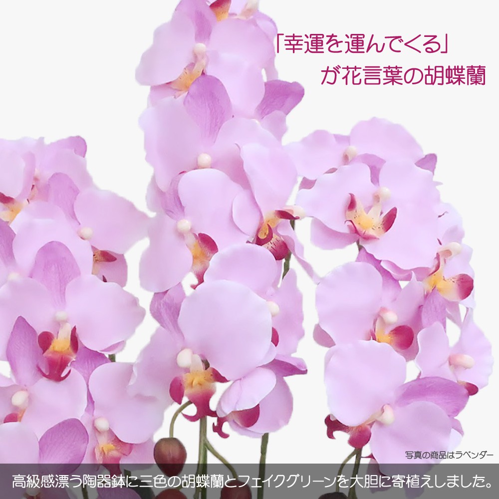 最安値 母の日 花 ギフト 造花 クラシック胡蝶蘭 デザイナーズアレンジ Ct触媒 アーティフィシャルフラワー 誕生日 プレゼント 開店 開院祝い お見舞い アートフラワー Md Kd 全商品オープニング価格特別価格 Mail Intelsys Net