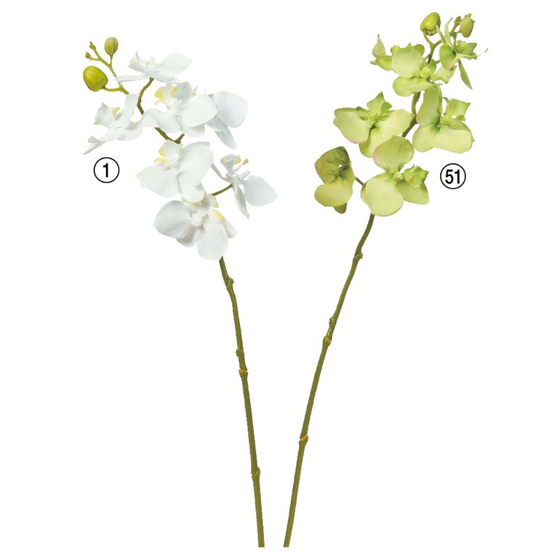 楽天市場 Asca オーキッド 7輪 つぼみ2個 花材 造花 フェイクグリーンの神戸花物語