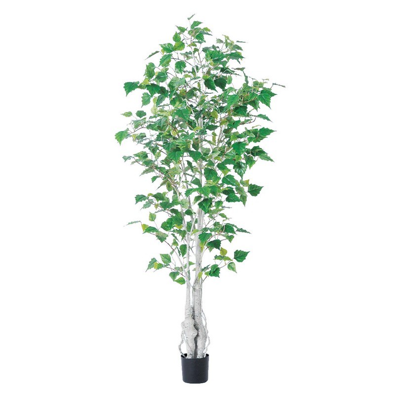 Asca バーチツリー ポット付 フェイクグリーン 観葉植物 造花 Psicologosancora Es