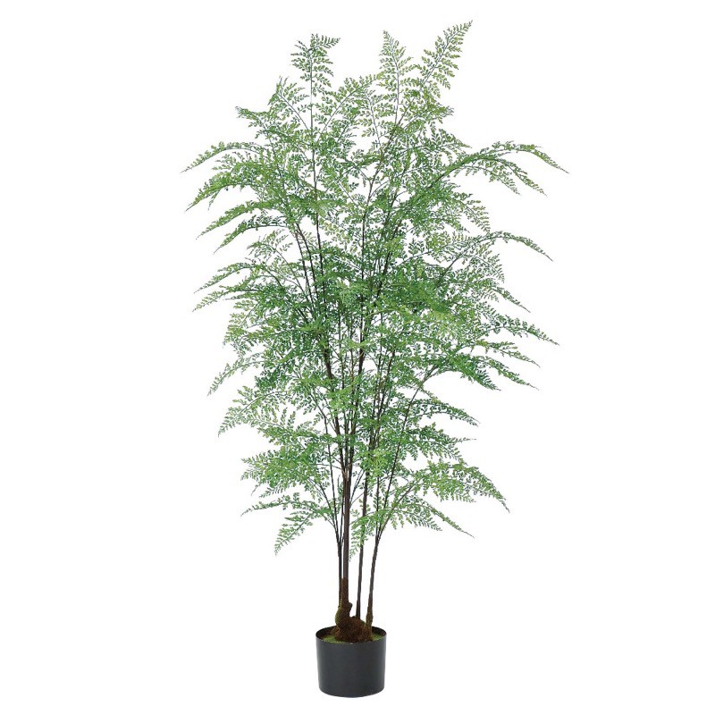 高さ約2m　アスカ造花・観葉植物 ファーン　フェイクグリ-ン　ポット付 1本 楽天市場】asca ファーン 簡易ポット付 フェイクグリーン 人工観葉植物