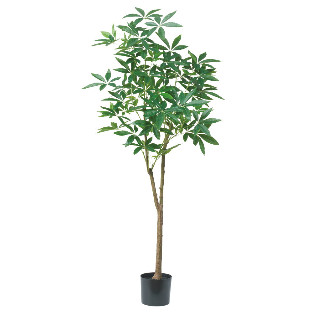 asca パキラ(ポット付) フェイクグリーン 人工観葉植物 造花