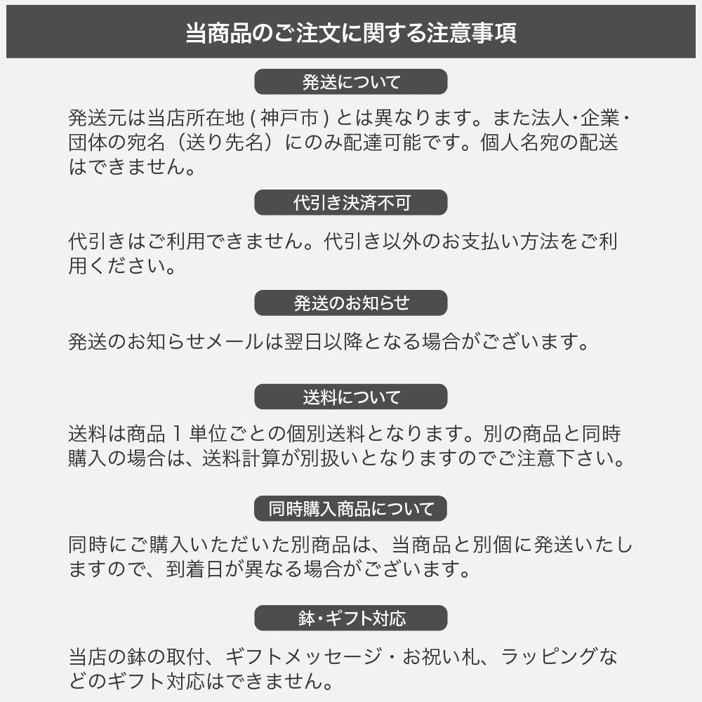 55 以上節約 楽天市場 人工観葉植物 フェイクグリーン 観葉植物 造花 大型 カシワバゴム 180cm インテリア おしゃれ フェイク グリーン フェイクグリーンの神戸花物語 値引きする Lexusoman Com