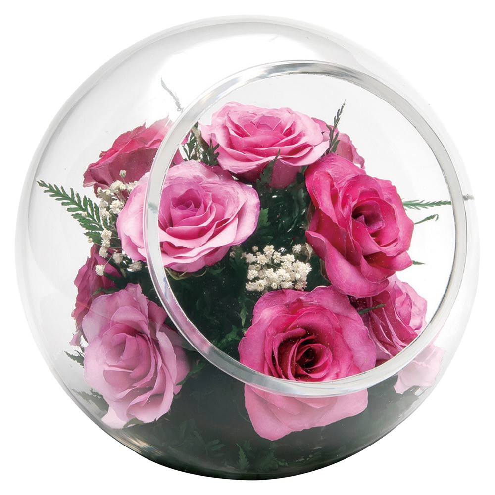 ドライフラワー 花 ギフト プレゼント ガラス 花器 バラ 薔薇 アレンジ 贈り物 お祝い お供え おしゃれ 高級 母の日 [whd][md][kd] / グラスウェアフラワー ローズ ラウンドスフィアL ピンク 13,376円
