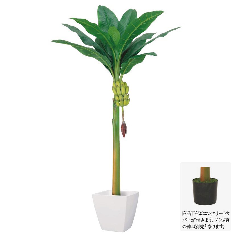 楽天市場 フェイクグリーン 大型 バナナツリー L 房バナナ付 0cm 人工観葉植物 観葉植物 造花 光触媒 Ct触媒 インテリア G L フェイクグリーンの神戸花物語