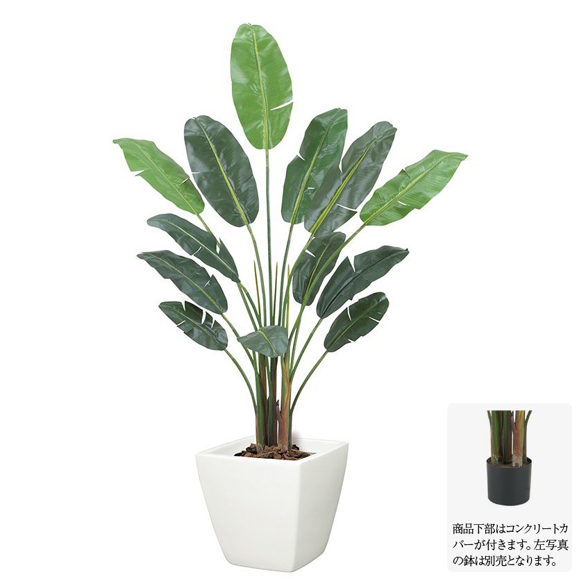 海外正規品 観葉植物 造花 大型 オーガスタツリー M 180cm 人工観葉植物 フェイクグリーン 光触媒 Ct触媒 インテリア G L フェイクグリーンの神戸花物語 新発売の Sudabase Com