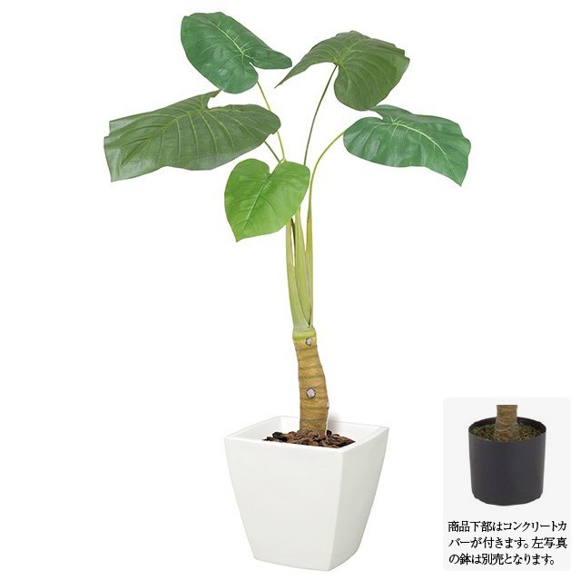 Rakuten 楽天市場 フェイクグリーン クワズイモ S 150cm 観葉植物 造花 大型 人工観葉植物 光触媒 Ct触媒 インテリア G L フェイクグリーンの神戸花物語 代引不可 Lexusoman Com