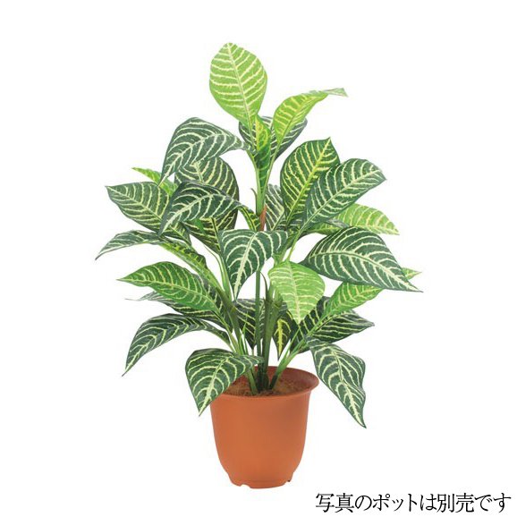 光触媒　人工観葉植物　ウォールグリーン　フェイクグリーン　エバーフレッシュ12w Amazon.co.jp: 光触媒 人工観葉植物 ウォールグリーン フェイク