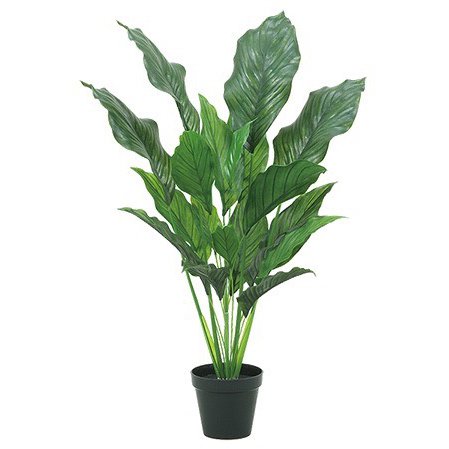 楽天市場】人工観葉植物 リアル フェイクグリーン 人工観葉植物 造花