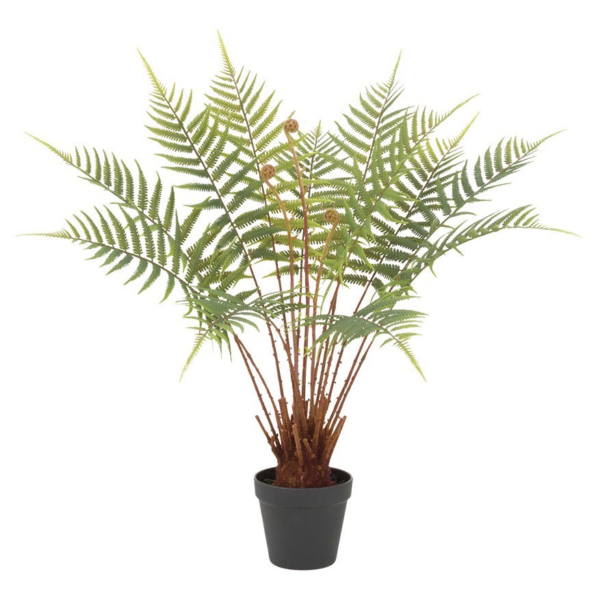 最適な材料 人工観葉植物 屋外対応 レザーファーン68cm フェイクグリーン 観葉植物 造花 光触媒 Ct触媒 インテリア 楽ギフ G L フェイクグリーンの神戸花物語 50 Off Www Trailconnections Com