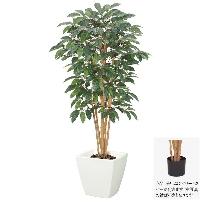 流行に 楽天市場 観葉植物 造花 コーヒーツリー S 150cm ナチュラルトランク コーヒーの木 人工観葉植物 大型 フェイクグリーン 光触媒 Ct触媒 インテリア G L フェイクグリーンの神戸花物語 最安値挑戦 Lexusoman Com