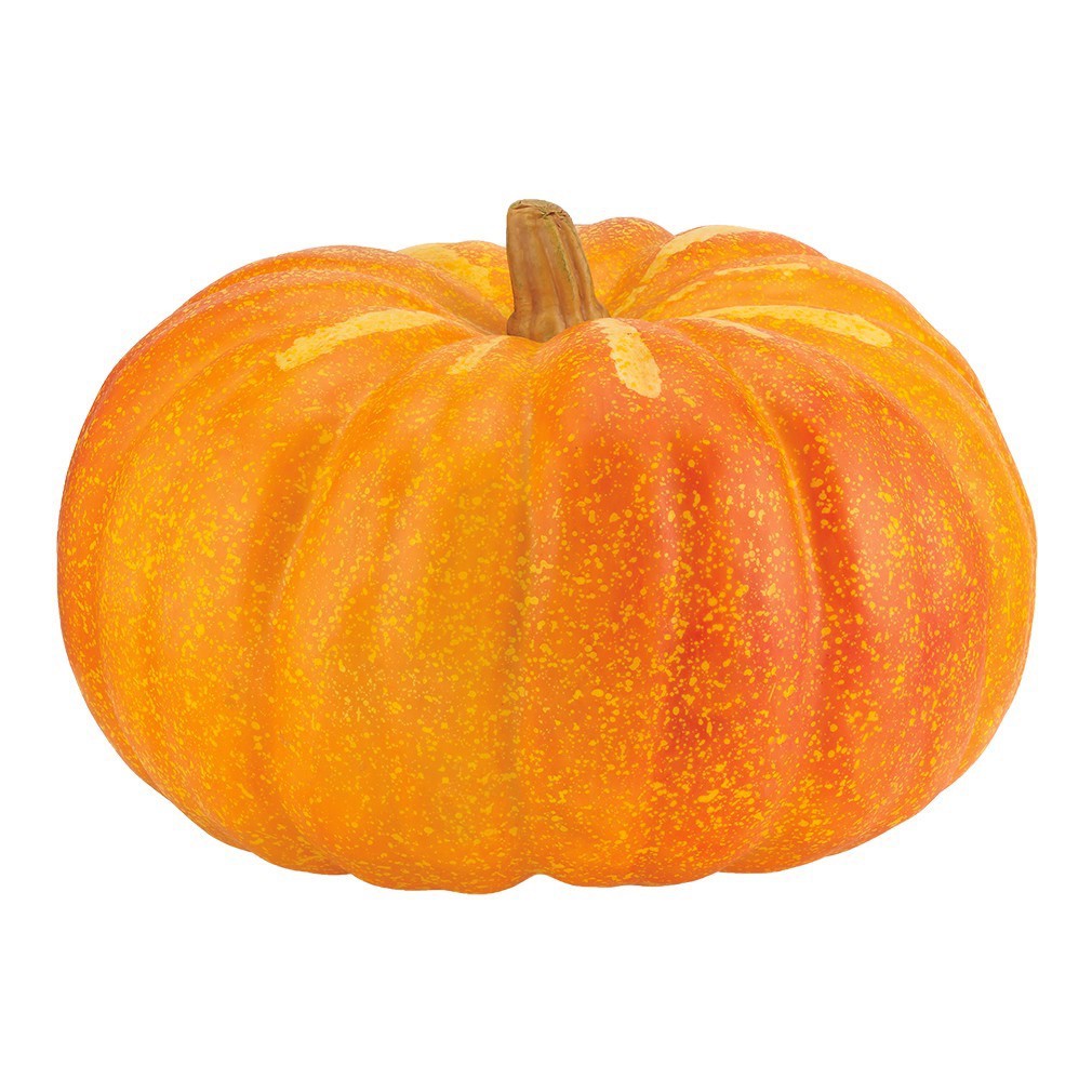ハロウィン メガオータムパンプキン オレンジ [G-L][A-B] 34,177円