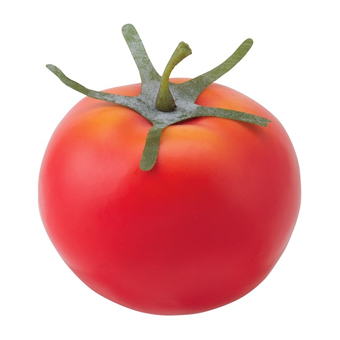 フレッシュトマト 12ヶ パック 食品サンプル G L フェイク フード 野菜 ディスプレイ 小物 模造品 Rentmy1 Com