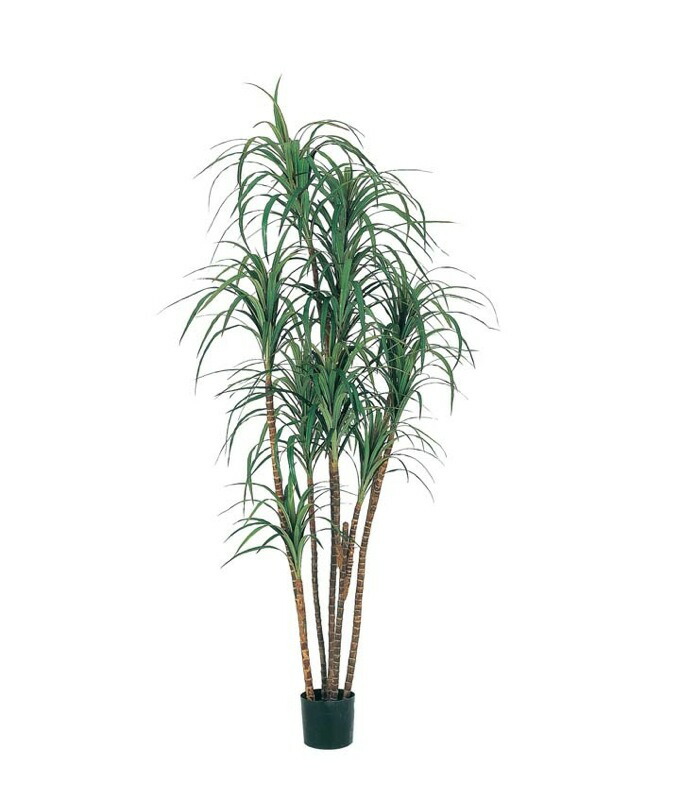 史上最も激安 フェイクグリーン 大型 ドラセナツリー 0cm 鉢植 ナチュラルトランク 観葉植物 造花 Ct触媒 光触媒 フェイク グリーン D F 保証書付 Www Lexusoman Com