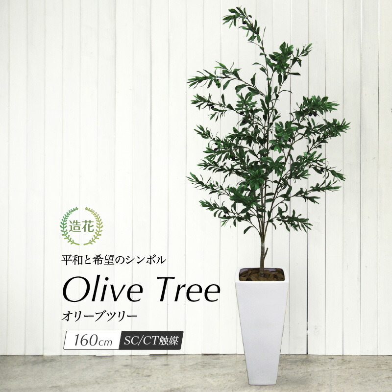 大型 造花 人工観葉植物 インテリア 屋外可 160cm グリーン おしゃれ 観葉植物 消臭 光触媒 フェイクグリーン フェイクグリーン 観葉植物 フェイク Ct触媒 抗菌 お祝い 開店 開業祝い 人工観葉植物 フェイクグリーン 観葉植物 造花 光触媒 大型 屋外可 オリーブの木 160cm 大型 造花 人工観葉植物 インテリア 屋外可 160cm グリーン おしゃれ 観葉植物 消臭 光触媒 フェイクグリーン フェイクグリーン 観葉植物 フェイク Ct触媒 抗菌 お祝い 開店 開業祝い 人工観葉植物 フェイクグリーン 観葉植物 造花 光触媒 大型 屋外可 オリーブの木 160cm