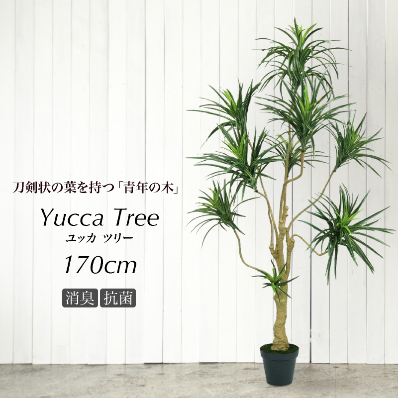 楽天市場 人工観葉植物 フェイクグリーン 観葉植物 造花 光触媒 大型 ユッカツリー 170cm 鉢植 インテリア おしゃれ フェイク グリーン Ct触媒 消臭 抗菌 お祝い フェイクグリーンの神戸花物語