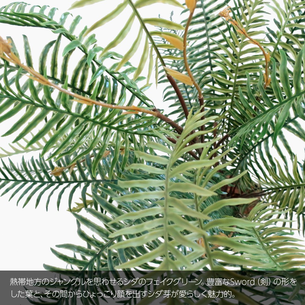ポイント10倍 楽天市場 人工観葉植物 フェイクグリーン 観葉植物 造花 光触媒 シダ熱帯ポット ソードファーン 100cm 鉢植 フェイク グリーン インテリア おしゃれ Ct触媒 お祝い 父の日 Fd フェイクグリーンの神戸花物語 絶対一番安い Managro Com Co