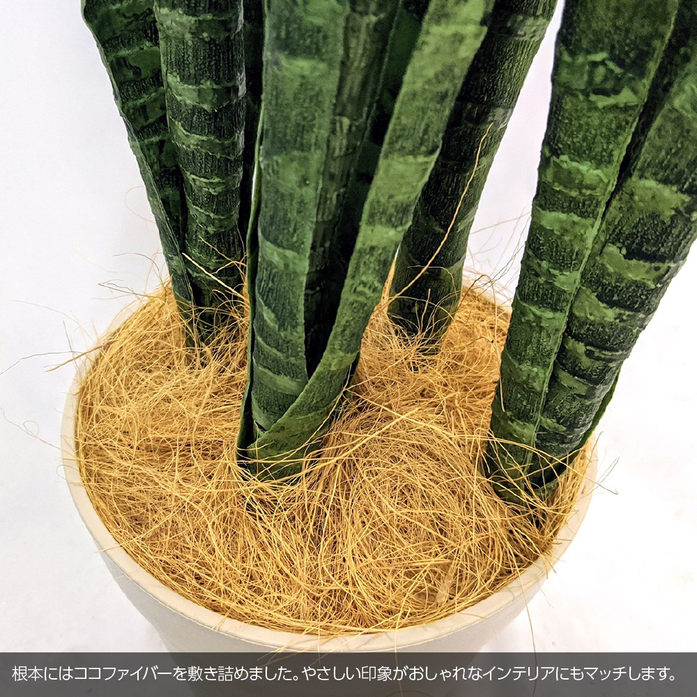 人工観葉植物 フェイクグリーン 観葉植物 鉢植 造花 ポット 光触媒 観葉植物 サンスベリア ポット グリーン ファーンウッド ミカド 85cm 鉢植 インテリア フェイク Ct触媒 お祝い フェイクグリーンの神戸花物語人工観葉植物 フェイクグリーン 観葉植物 造花 光触媒 大型 人工観葉植物 フェイクグリーン 観葉植物 鉢植 造花 ポット 光触媒 観葉植物 サンスベリア ポット グリーン ファーンウッド ミカド 85cm 鉢植 インテリア フェイク Ct触媒 お祝い フェイクグリーンの神戸花物語人工観葉植物 フェイクグリーン 観葉植物 造花 光触媒 大型