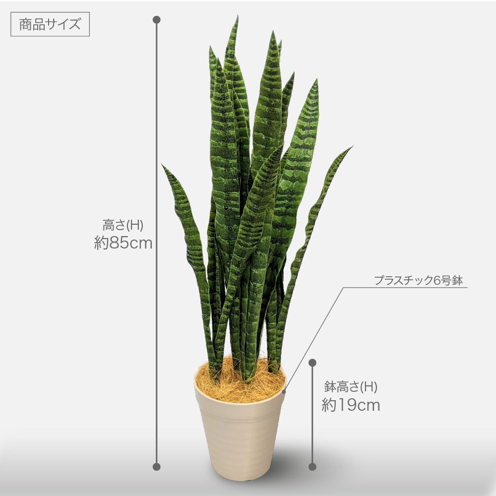 人工観葉植物 フェイクグリーン 観葉植物 鉢植 造花 ポット 光触媒 観葉植物 サンスベリア ポット グリーン ファーンウッド ミカド 85cm 鉢植 インテリア フェイク Ct触媒 お祝い フェイクグリーンの神戸花物語人工観葉植物 フェイクグリーン 観葉植物 造花 光触媒 大型