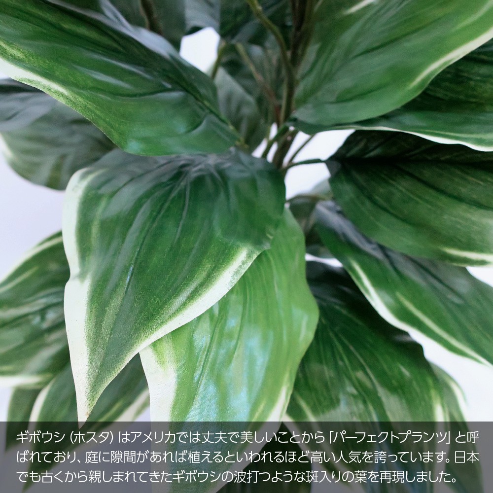 パーフェクトプランツ ホスタプラント 95cm フェイクグリーン 開業祝い 鉢植 Ct触媒 リアル ギボウシ お祝い 開店 光触媒 観葉植物 インテリア 造花 おしゃれ 人工観葉植物