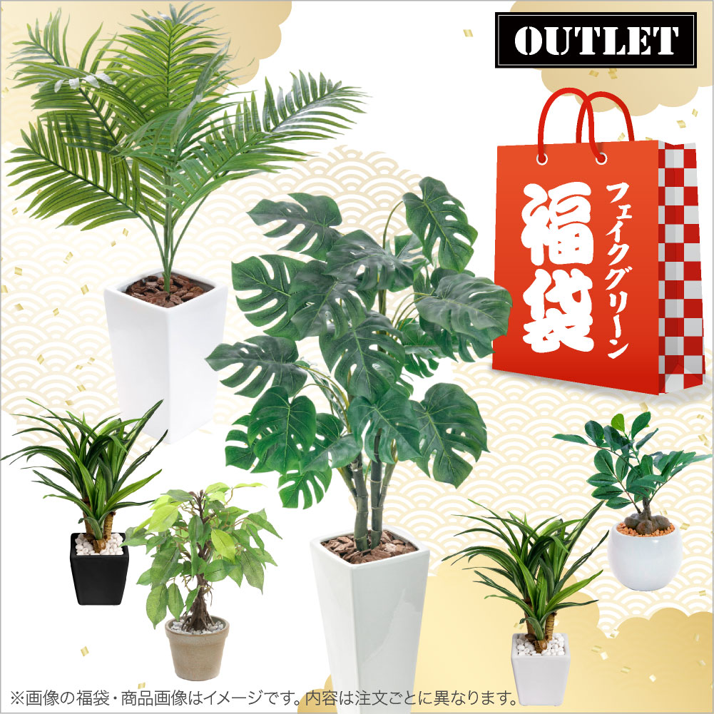 楽天市場】ホワイト ブラックから選べる 観葉植物 育成 LEDライト