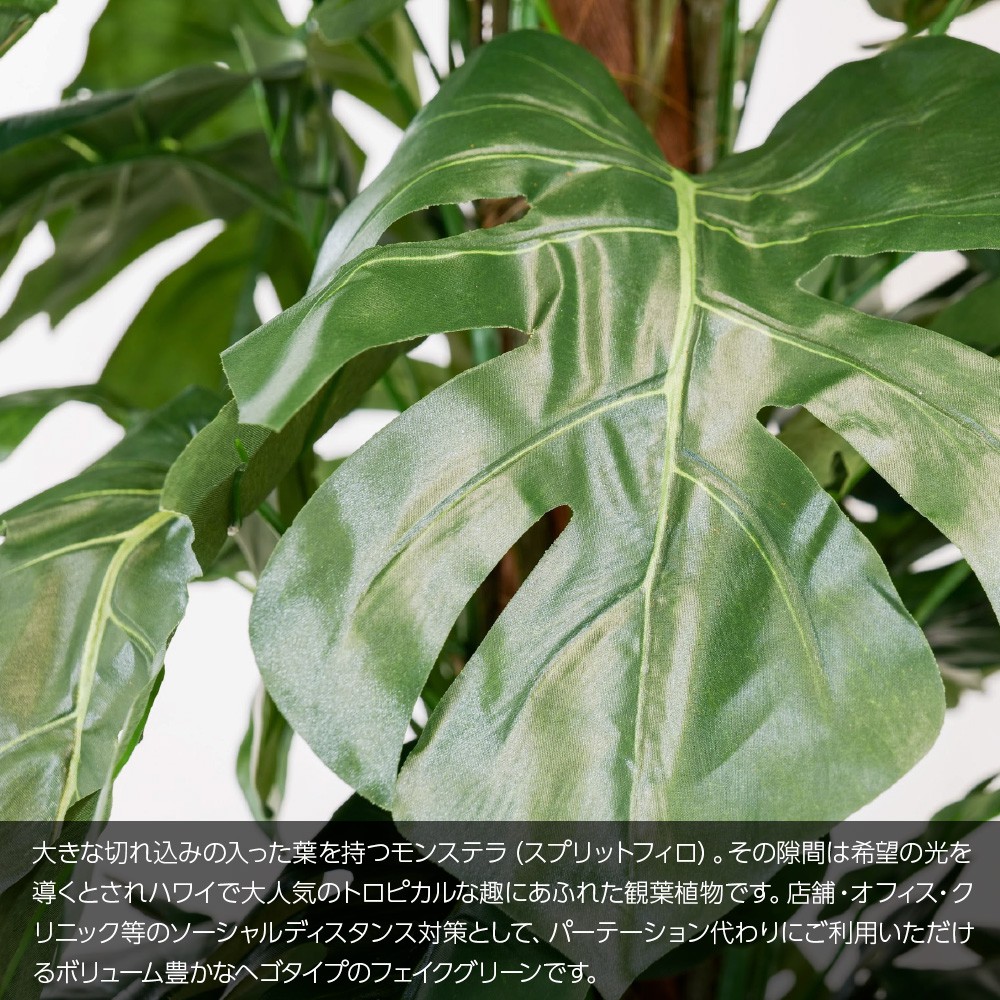 人工観葉草木 まがいもの緑 観葉植物 造花 灯触媒 モンステラヘゴポット ハワイアンパーテーション 180cm 鉢植 フェイク グリーン インテリア装飾 スマート Ct触媒 お慶び事 Lindsaymayphotography Com