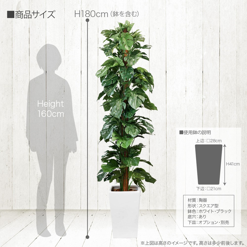 人工観葉植物 フェイクグリーン 観葉植物 造花 光触媒 モンステラヘゴポット ハワイアンパーテーション 180cm 鉢植 フェイク グリーン インテリア おしゃれ Ct触媒 お祝い Highsoftsistemas Com Br