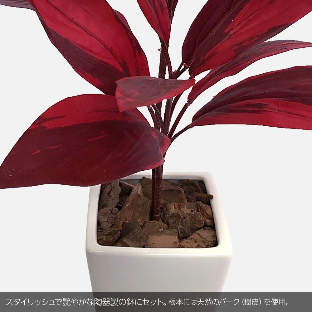 観葉植物 造花 サンドリアーナ 花 観葉植物 新商品 光触媒 大型 Ct触媒 フェイク グリーン インテリア コルジリネ おしゃれ グリーン Ct触媒 消臭 抗菌 お祝い 開店 開業祝い 人工観葉植物 Fian ドラセナプラント ホット クール 80cm 鉢植 コルディリネ サンデリアーナ