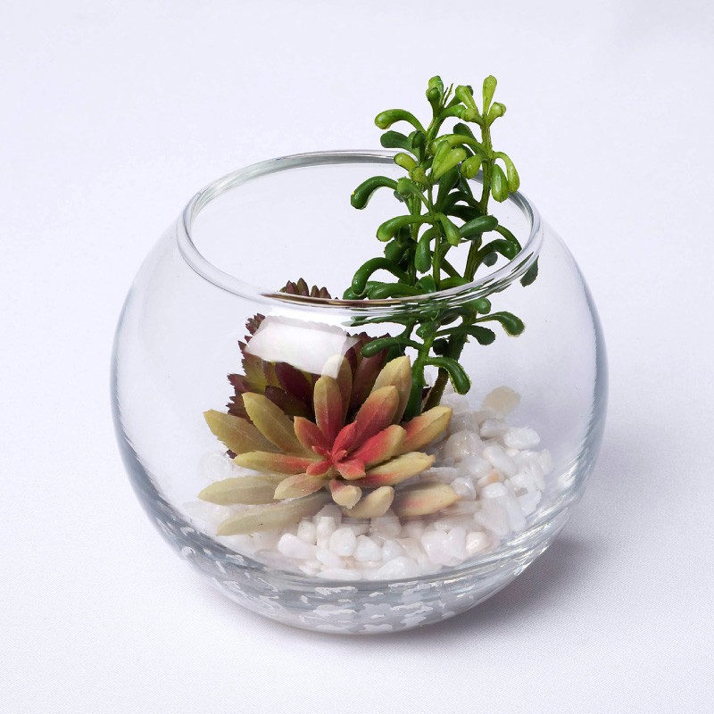 楽天市場 フェイクグリーン 多肉植物 ガラスポット ハンサム多肉シリーズ ラウンドグラス 観葉植物 造花 フェイク グリーン ギフト インテリア 書斎 テーブル 置物 Fd フェイクグリーンの神戸花物語