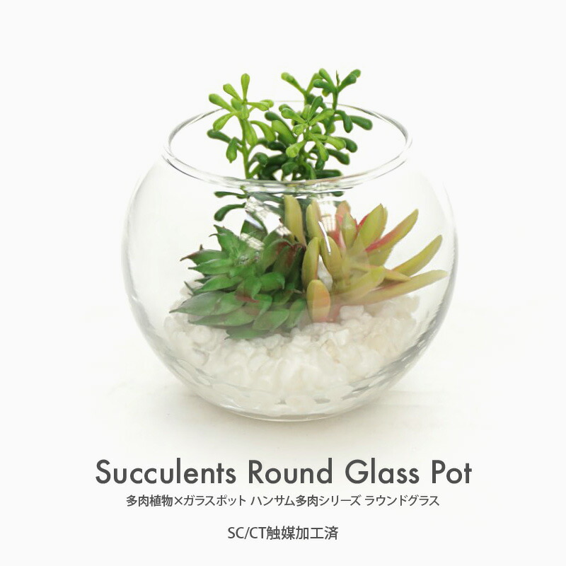 再販ガラスポットｂフェイクグリーン寄せ植え風アレンジ▫️フェイク多肉植物・観葉植物 楽天市場】フェイクグリーン 多肉植物 寄せ植え ガラスポット おしゃれ