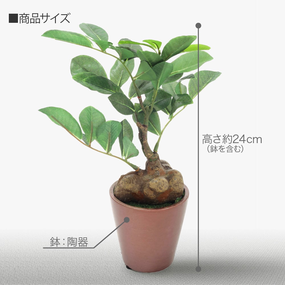 いいスタイル プレミアム ガジュマルポット 24cm 陶器鉢 CT触媒加工済 フェイクグリーン ミニ 観葉植物 フェイク リアル 造花 インテリア  人工観葉植物 テーブルサイズ 光触媒 md fd kd orlandogomes.org.br