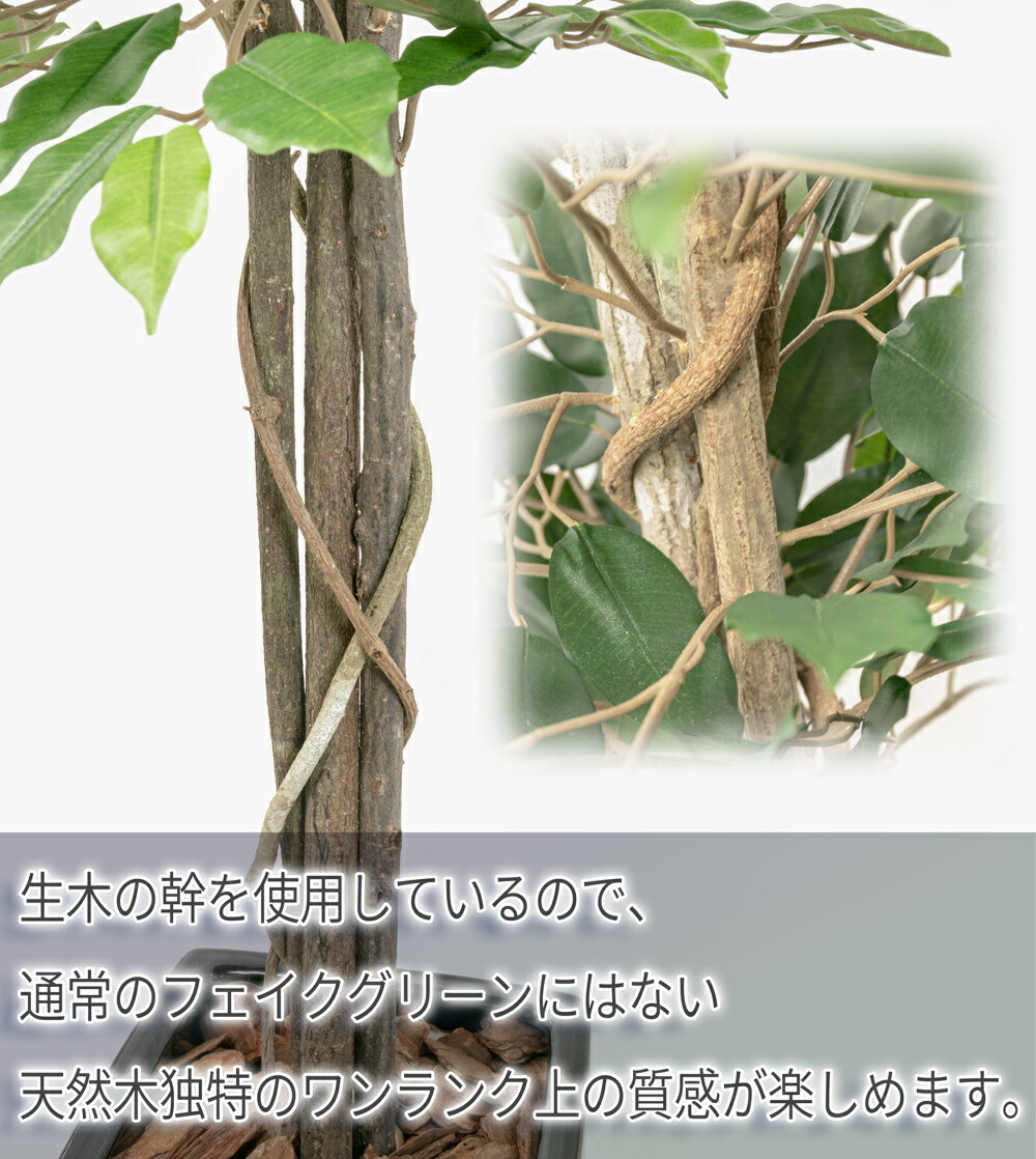 フィカスツリーm 鉢植 180cm 天然幹 おすすめ フェイクグリーン 開店祝 職人手作り リアル インテリア ナチュラルトランク 消臭 人工観葉植物 光触媒 花言葉 Ct触媒 抗菌 造花 永久の幸せ オフィス 新築祝い Nnf 大型