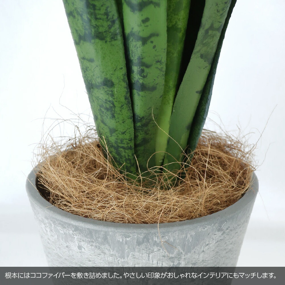 人工観葉植物 フェイクグリーン 観葉植物 造花 光触媒 サンスベリア 千歳蘭 ポット 80cm 鉢植 インテリア フェイク Ct触媒 お祝い Mergertraininginstitute Com