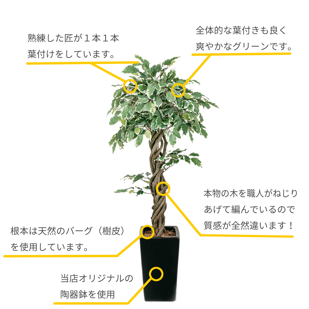 ベンジャミン スターライト リアナ 陶器鉢 ハイブリッド ねじり 観葉植物 消臭 匠 抗菌 Nnf 蔓 造花 130cm 大型 光触媒 斑入り 人工 観葉植物 鉢植 フェイクグリーン インテリア Ct触媒 幸福をもたらす木 リアル