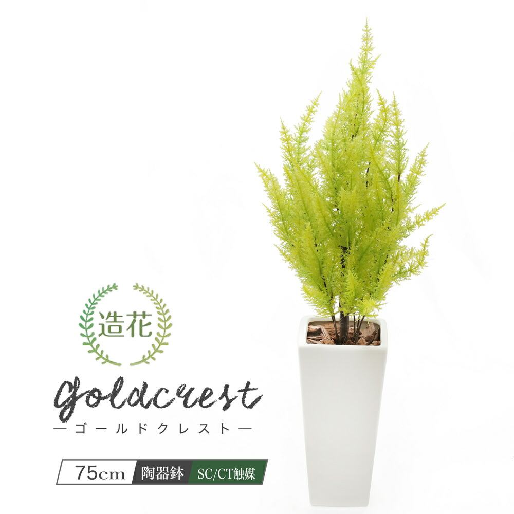 超人気新品 Ct触媒 まっすぐに生きる フェイクグリーン ゴールドクレスト ツリー クリスマスツリー 消臭 光触媒 プレゼント ライトグリーン 75cm 贈り物 黄金のトサカ インテリア 抗菌 リアル 花言葉 造花 コニファー 不変 人工観葉植物 永遠 鉢植 Nnf 陶器鉢 花 観葉植物