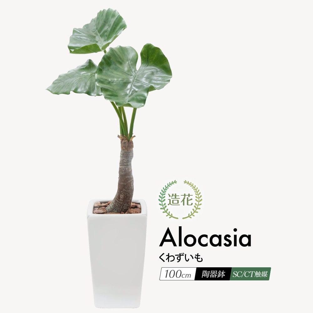 楽天市場】フェイクグリーン 観葉植物 フェイク 人工観葉植物
