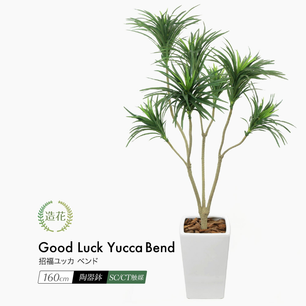 楽天市場 福袋 22 観葉植物の福袋 フェイクグリーン3点 ハッピーバッグ 人工観葉植物 光触媒 Ct触媒 フェイクグリーンの神戸花物語