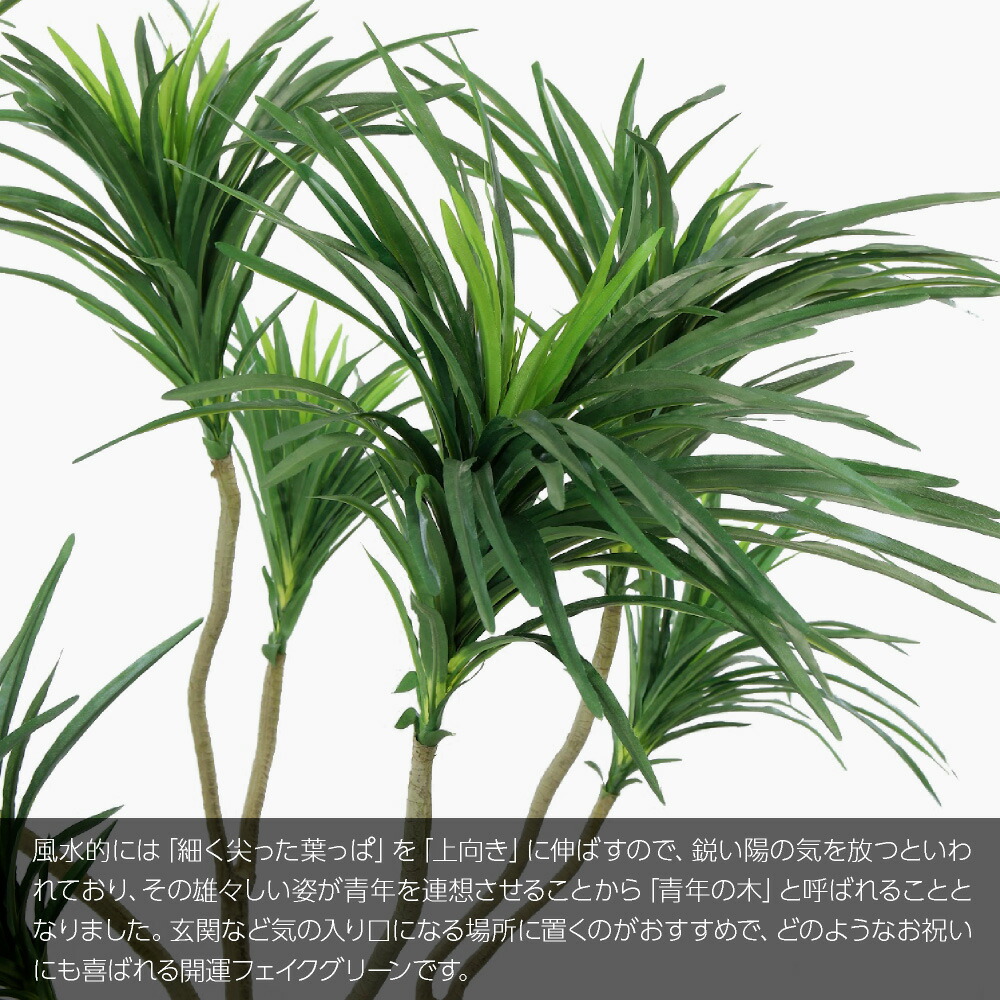 造花 リアル 造花 お祝い 開業祝い 10 Off 160cm おしゃれ 観葉植物 人工観葉植物 Ct触媒 光触媒 人工観葉植物 インテリア ベンド 観葉植物 大型 造花 フェイクグリーン 開店 新発売 フェイク 招福ユッカ 光触媒 おしゃれ フェイクグリーン グリーン 人工観葉植物